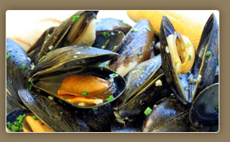 Fresh Mussels: always tasty at Beacon Landing