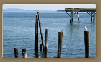 The Sidney Pier: beautiful year round